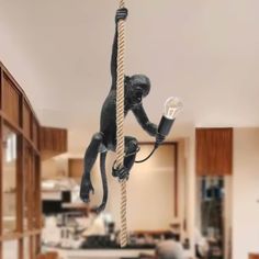 a monkey hanging from a rope in the middle of a kitchen with an electric light bulb