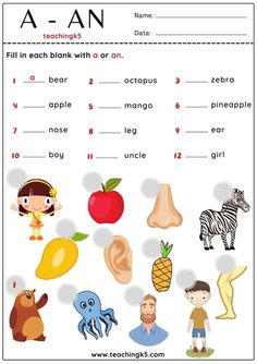 a - an worksheet with pictures and words