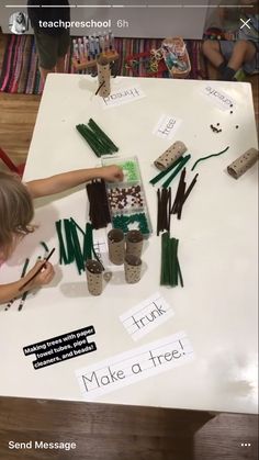 Tree Provocations Preschool, Tree Investigation Preschool, Tree Study Creative Curriculum Preschool Art, Tree Study Kindergarten, Tubishvat Crafts Preschool, Forest Unit Preschool, Forest Lesson Plans Preschool, What Grows On Trees Preschool, Trees Unit Preschool