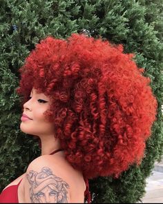 Dark Red Afro Hair, Dyed Afro Hair, Bright Red Curly Hair, Charlie Baltimore, Red Afro, Red Locs, Hair Shape, Curly Hair Braids