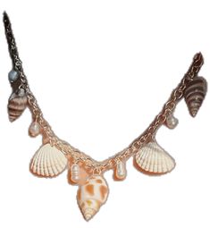 Ocean-inspired Silver Shell Necklace, Siren Jewelry, Seashell Mermaid, Mermaid Core, Sarasota Fl, Shell Necklace, Shell Jewelry, Jewelry Unique, Shell Necklaces