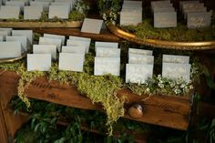 there are many place cards on the table with moss growing all over it and in front of them