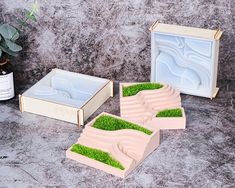 three wooden boxes with moss growing in them on a table next to a potted plant