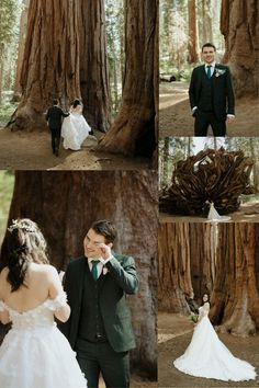 a bride and groom standing in front of a giant sequta tree at their wedding