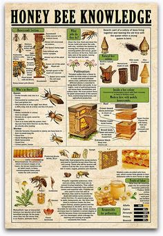 a poster with information about honeybees and their benefits in the beehive