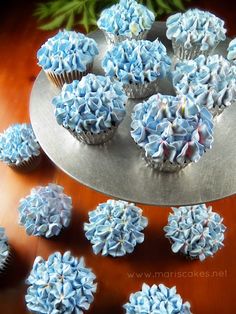 cupcakes with blue frosting are arranged on a metal platter