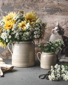 a cat sitting next to two vases with flowers in them