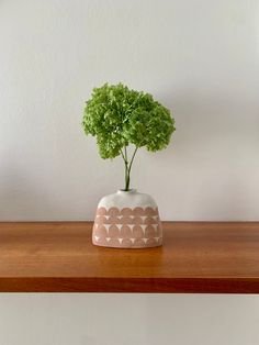 a small potted plant sitting on top of a wooden shelf