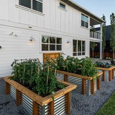 several raised garden beds in front of a white building