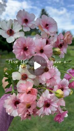 pink and white flowers in someone's hand with the words five flowers that have a first may see life