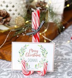 a candy cane with a merry christmas sign on it sitting next to some pine cones