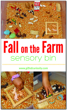 the fall on the farm activity bin is filled with toys