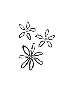 three black and white flowers are in the middle of a drawing on a white background