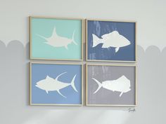 four framed pictures with different types of fish on them