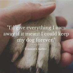 Losing A Pet, Animal Quotes, Pet Loss, Dog Quotes