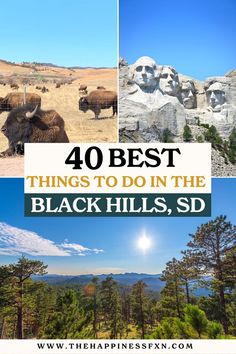 top left photo: Custer State Park buffalo; top right photo: Mount Rushmore; bottom photo: Black Hills Black Hills South Dakota, National Park Road Trip, Rapid City