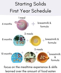 the first year schedule for toddler meals