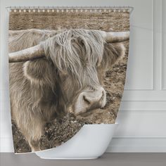 a long haired cow with horns standing in the dirt shower curtain set on a white bathtub