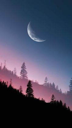 the moon is shining brightly in the sky above some trees and hill tops at dusk