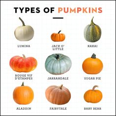 different types of pumpkins are shown in this poster, with the names below them