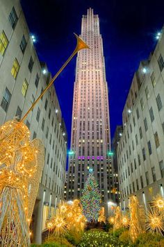 the rockefeller christmas tree is lit up in new york city's financial district at night