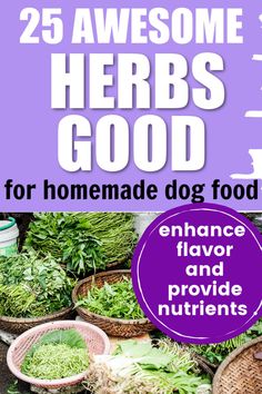 the cover of 25 awesome herbs good for homemade dog food, enhance flavor and provide nutrit