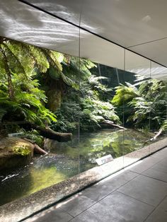 the reflection of trees and plants on glass walls in a room with tile flooring