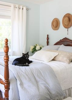 a black cat laying on top of a bed