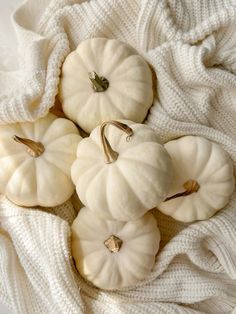 small white pumpkins are on a blanket