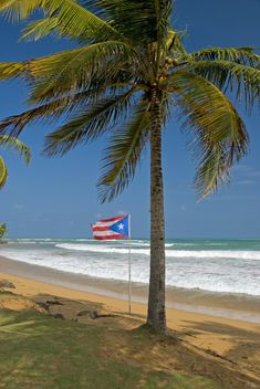 an american flag is flying on the beach next to some palm trees and waves in the ocean