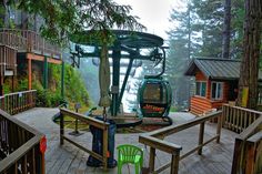 a green chair sitting on top of a wooden deck next to a tree filled forest