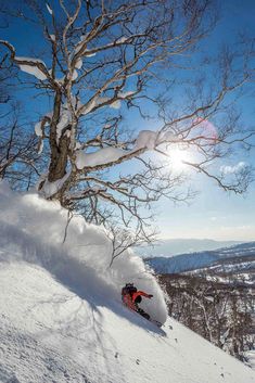 a man riding skis down the side of a snow covered slope next to a tree