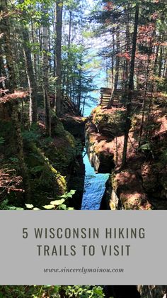 a river in the woods with text overlay reading 5 wisconsin hiking trails to visit