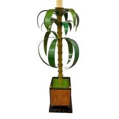 a tall plant with green leaves in a wooden container on a white background is shown