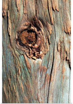 an old tree trunk with peeling paint on it's bark and a hole in the wood