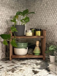 a potted plant sitting on top of a wooden shelf next to other pots and containers