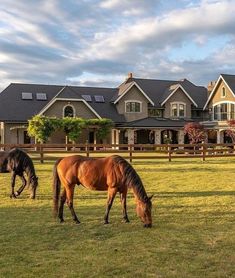 two horses graze in front of a large house