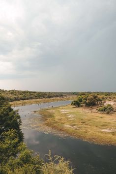 an aerial view of a body of water surrounded by trees and grass with clouds in the sky