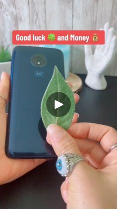 someone holding up a cell phone with a green leaf on the front and side of it