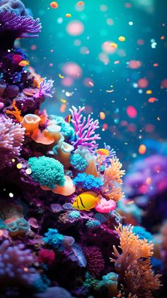 an underwater scene with colorful corals and fish