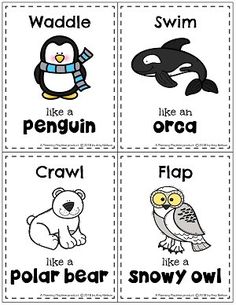 four different types of animals and their names in the same language, including penguin, polar bear