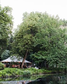 a tent is set up on the bank of a river in front of trees and foliage