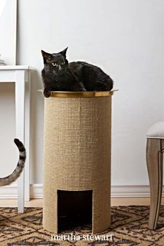 a black cat laying on top of a scratching tower