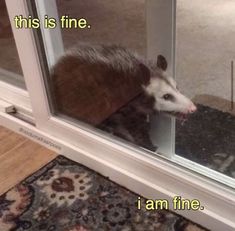 an animal sticking its head through a glass door with the caption, this is fine i am fine