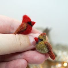 two tiny red birds sitting on top of each other