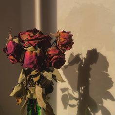 a bouquet of roses in a green vase on a table with the shadow of a wall behind it