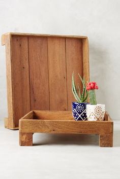 a wooden box with two planters and one potted cactus in it on a white surface