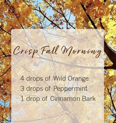 Morning Diffuser Blend, Crisp Fall Morning, Fall Essential Oil Blends, Celtic Pagan