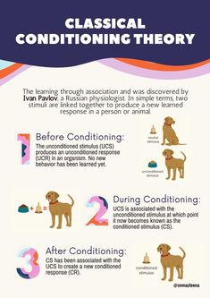 a poster with instructions on how to use thermometers for pet grooming