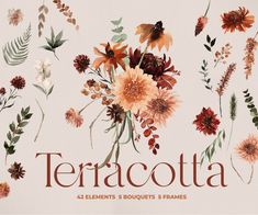 an image of flowers and leaves with the words terracotta